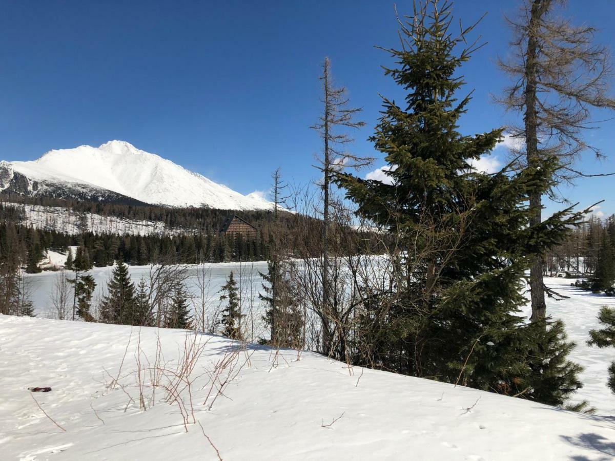 Vila Horec, Vysne Hagy Vysoké Tatry Εξωτερικό φωτογραφία