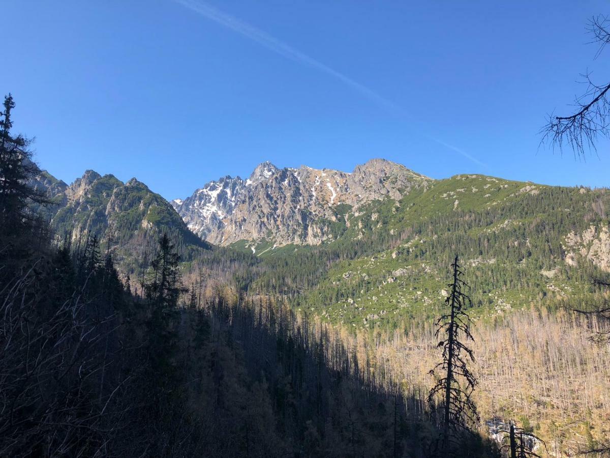 Vila Horec, Vysne Hagy Vysoké Tatry Εξωτερικό φωτογραφία