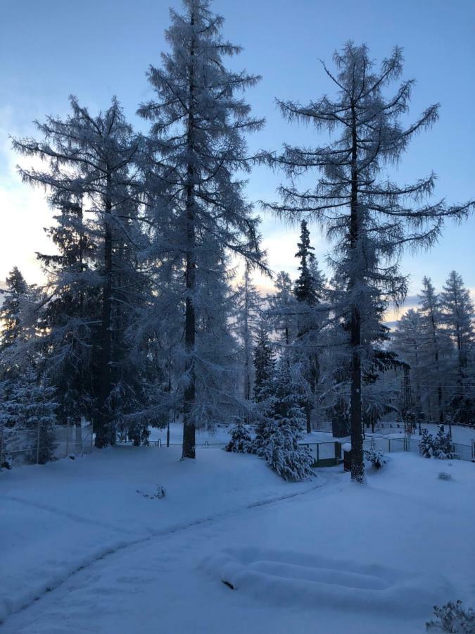 Vila Horec, Vysne Hagy Vysoké Tatry Εξωτερικό φωτογραφία